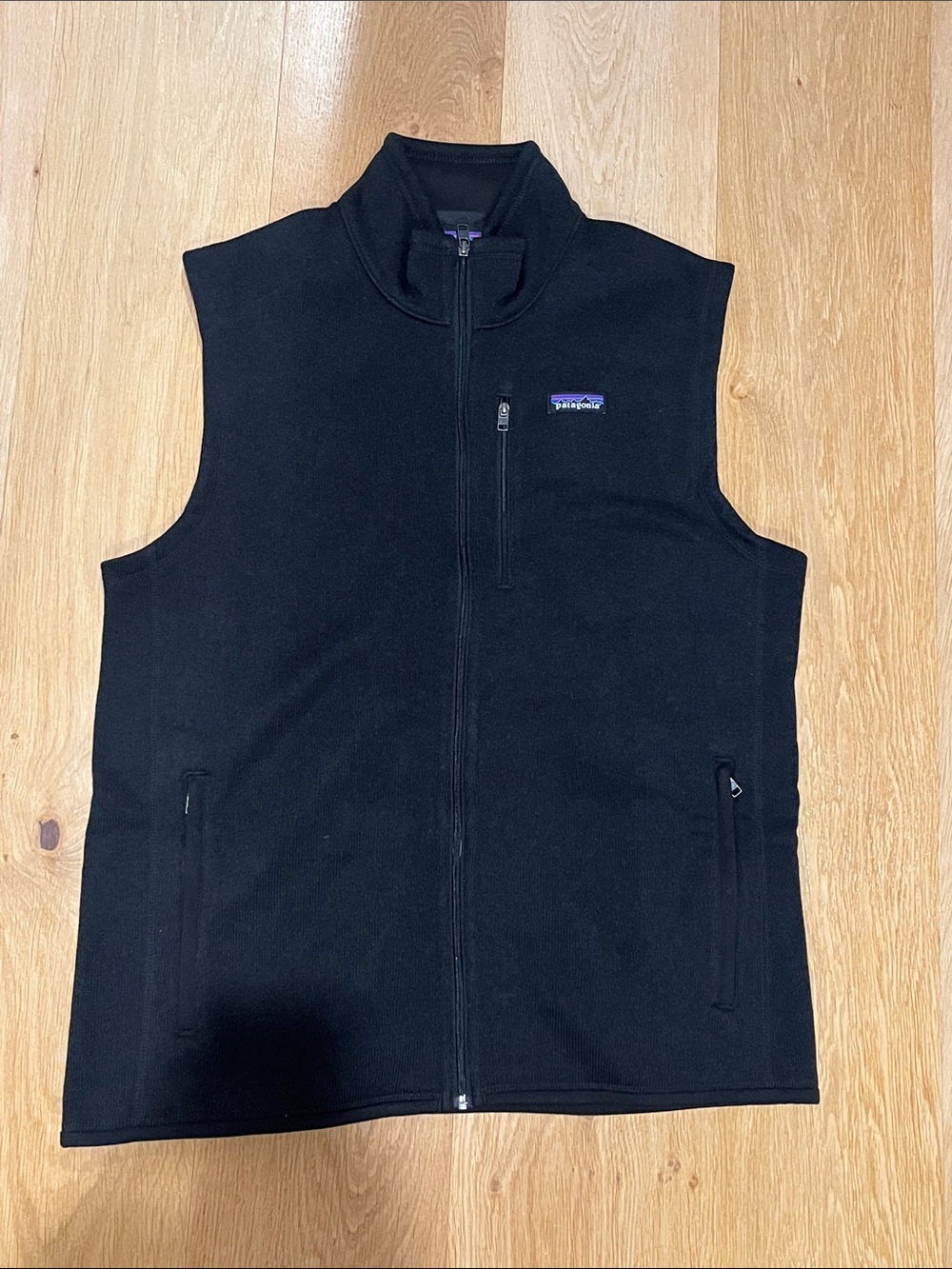 Patagonia Black Full-Zip Fleece Vest